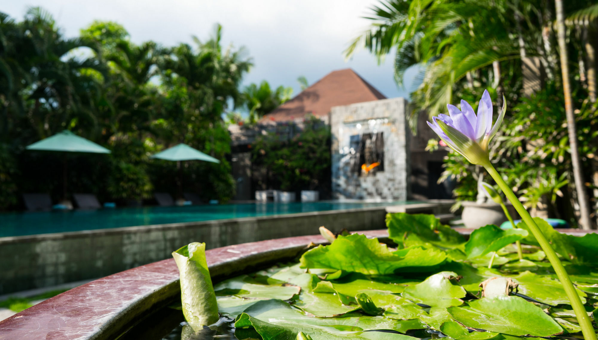 Cicada Luxury Townhouses เซมินยัค ภายนอก รูปภาพ
